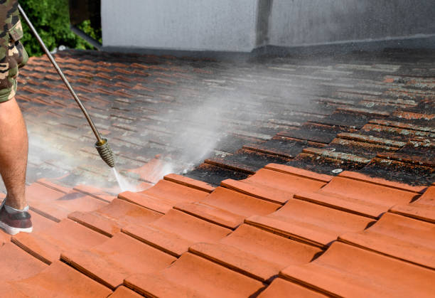 Best Deck Pressure Washing  in Shepherd, TX