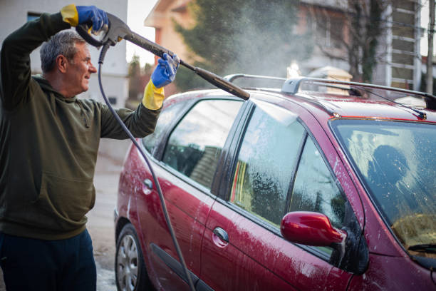 Best Power Washing Near Me  in Shepherd, TX