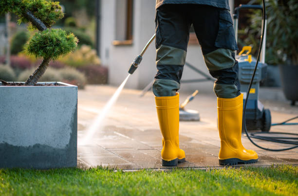 Best Exterior Home Cleaning  in Shepherd, TX